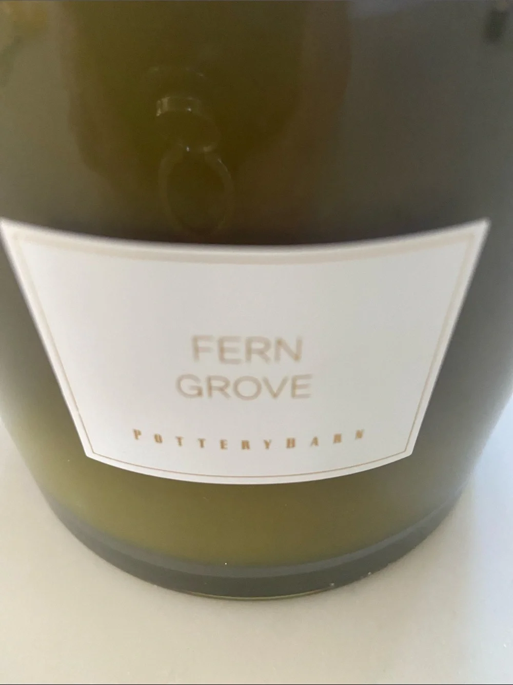 Pottery Barn Fern Grove Candle in Olive Green with Gold Lid
